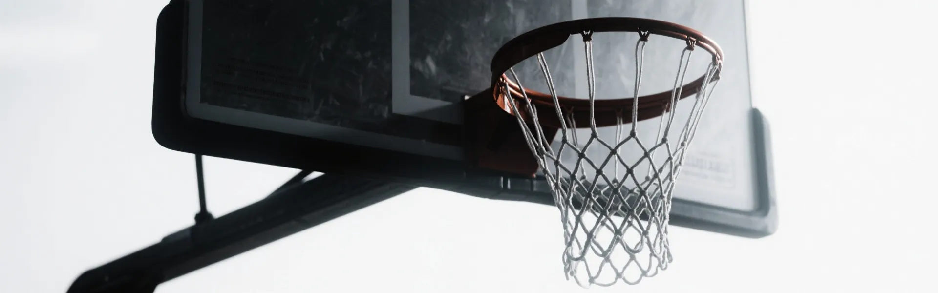 Basketball Net